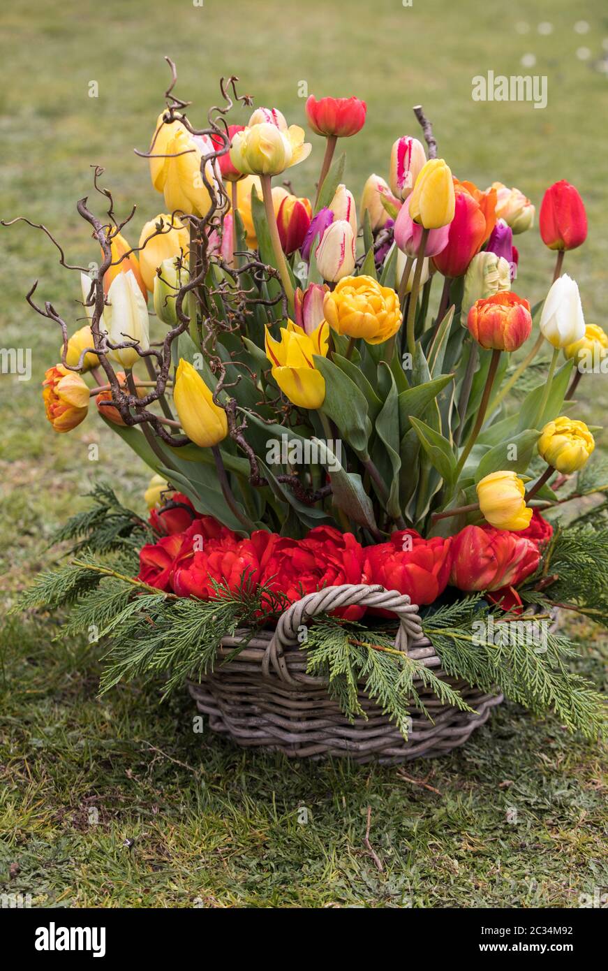colorful bouquet of fresh spring tulip flowers Stock Photo - Alamy