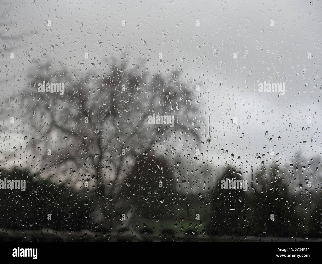 Raindrops on the Window Stock Photo