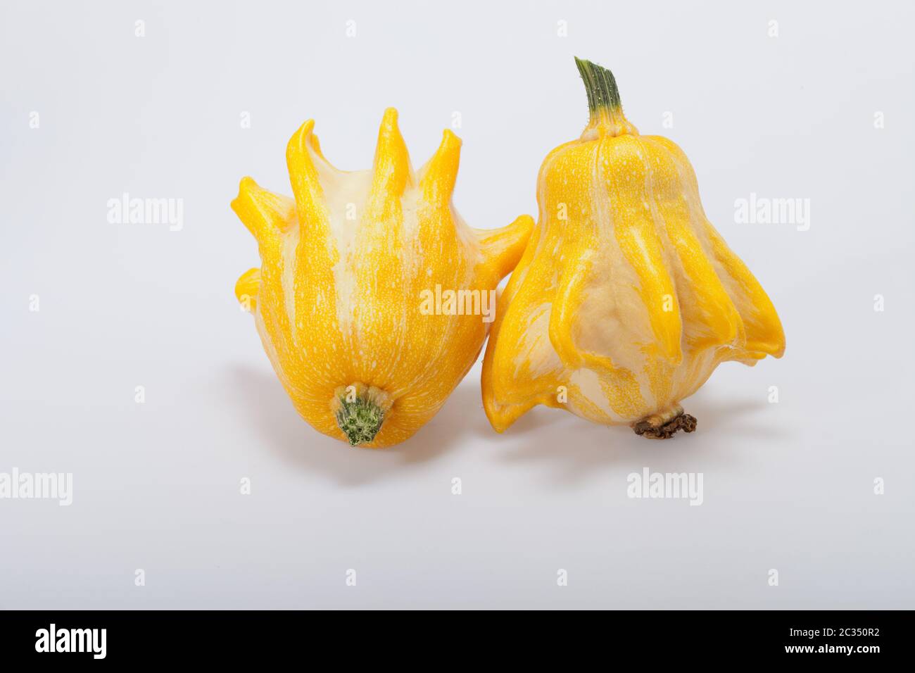 Decorative pumpkin isolated on white background Stock Photo - Alamy