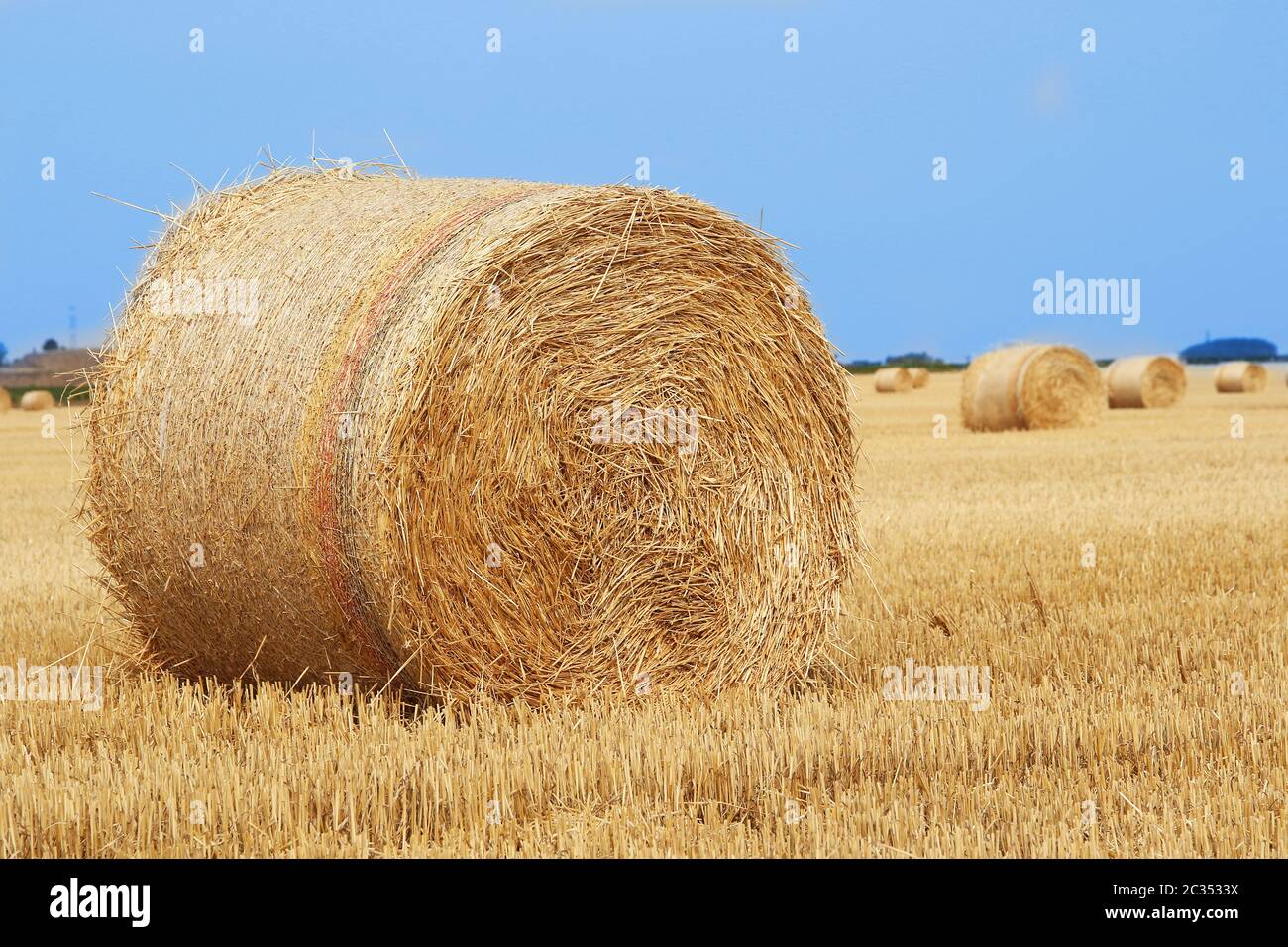 Field with straw bales after harvest in country side Stock Photo - Alamy