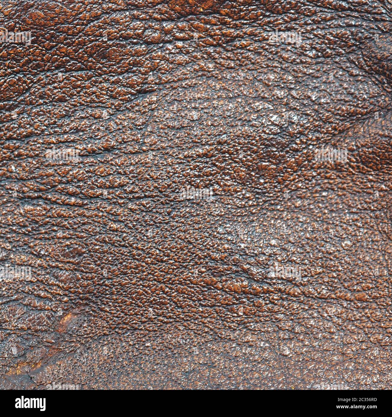 leather background Stock Photo