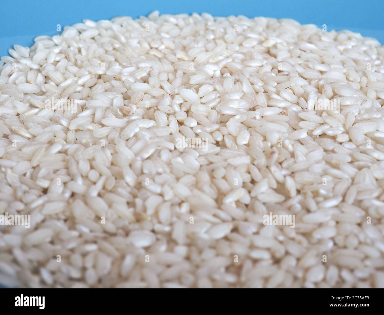 carnaroli rice, medium grained rice grown in the Pavia, Novara and Vercelli  provinces of northern Italy used for Risotto Stock Photo - Alamy