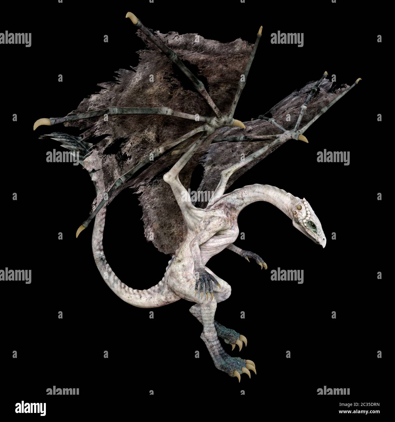 3D rendering of a fantasy dragon isolated on black background Stock ...
