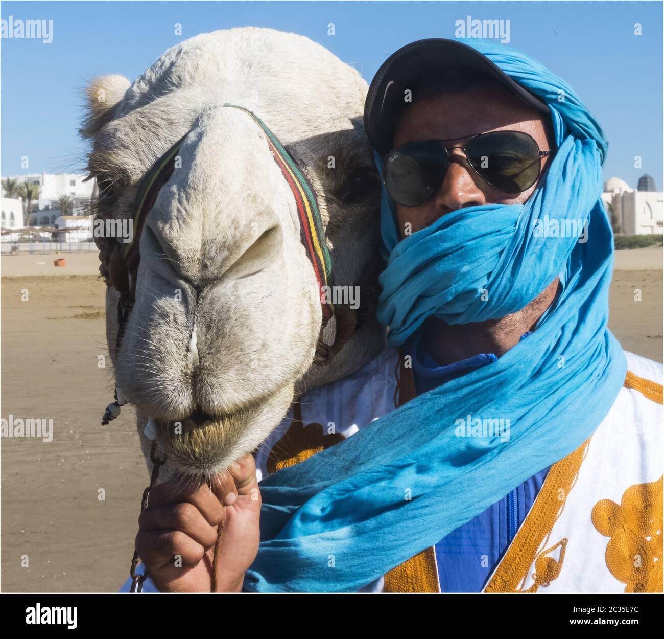 Camel Drive High Resolution Stock Photography And Images Alamy