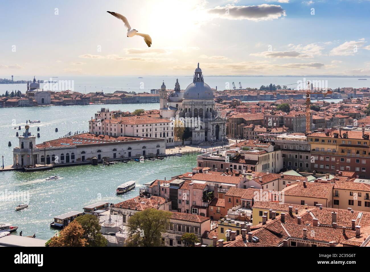 Venice panorama, Santa Maria della Salute from the Campanile, Italy. Stock Photo