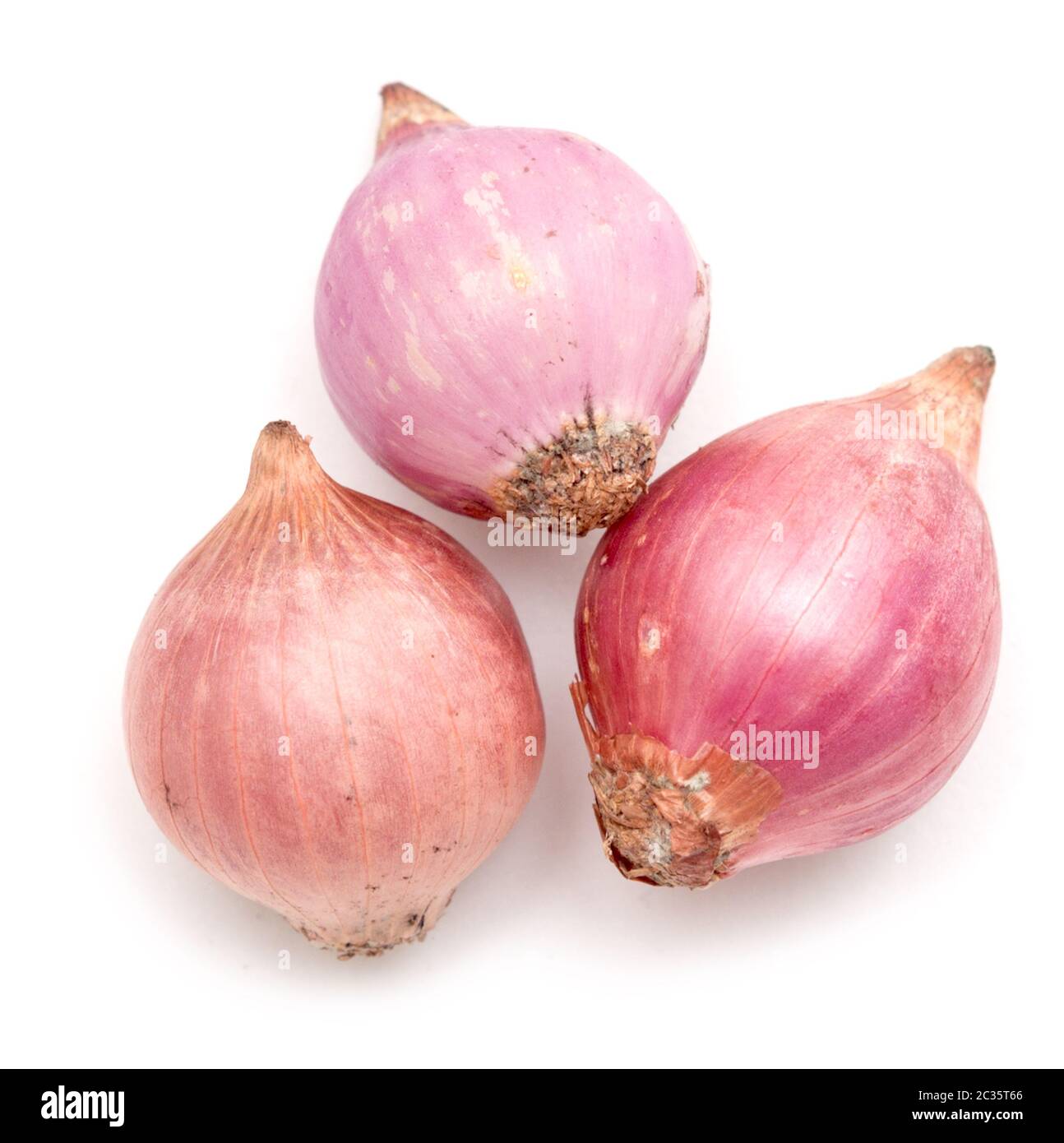 Onion isolated closeup hi-res stock photography and images - Alamy