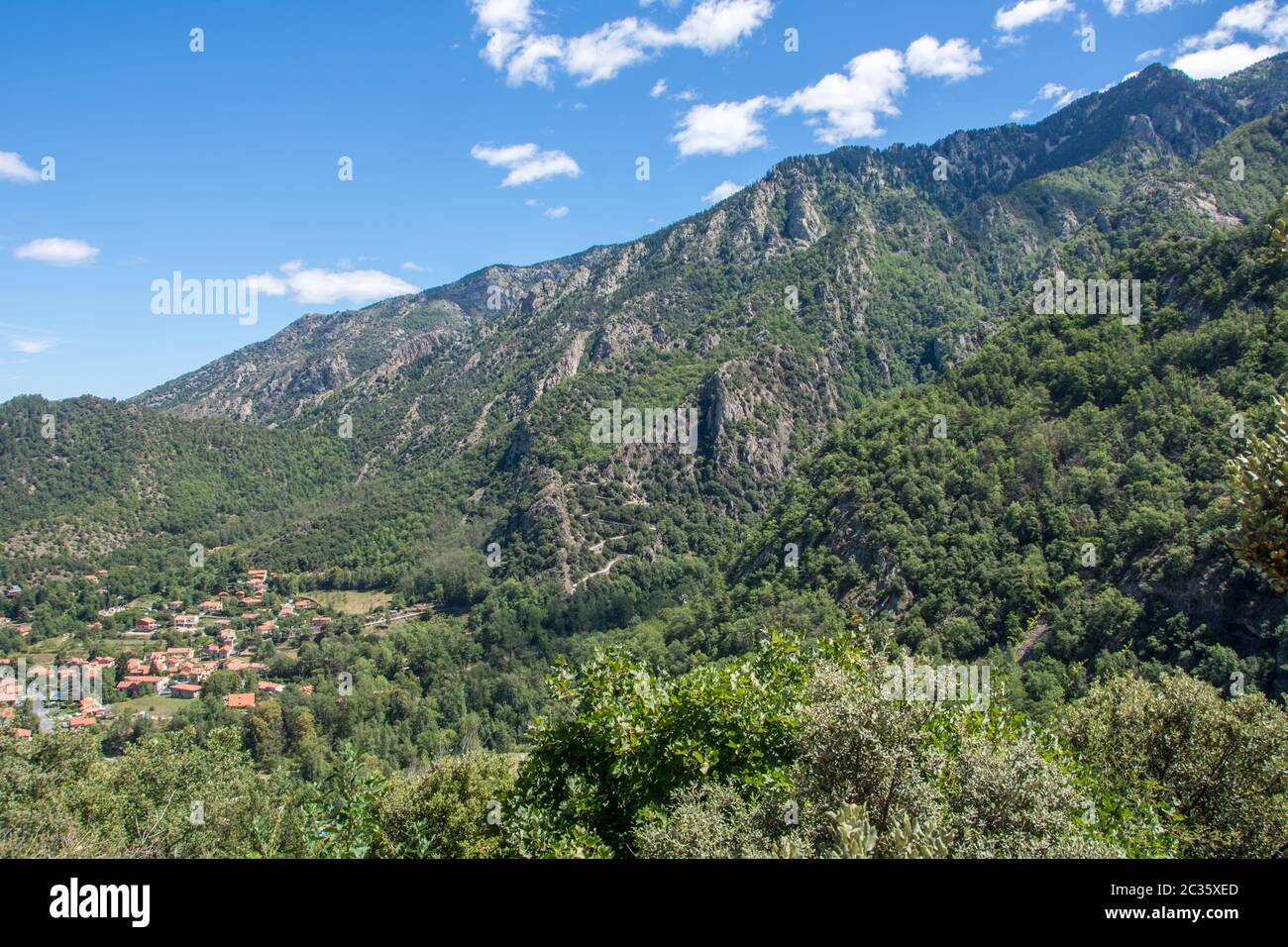 Pyrenes France discovery of the fauna and flora of Pyrenes, France Stock Photo - Alamy