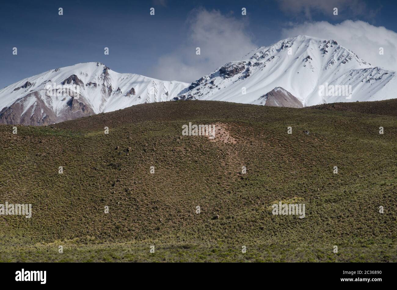 Snowy Peaks In Lauca National Park. Arica Y Parinacota Region. Chile 