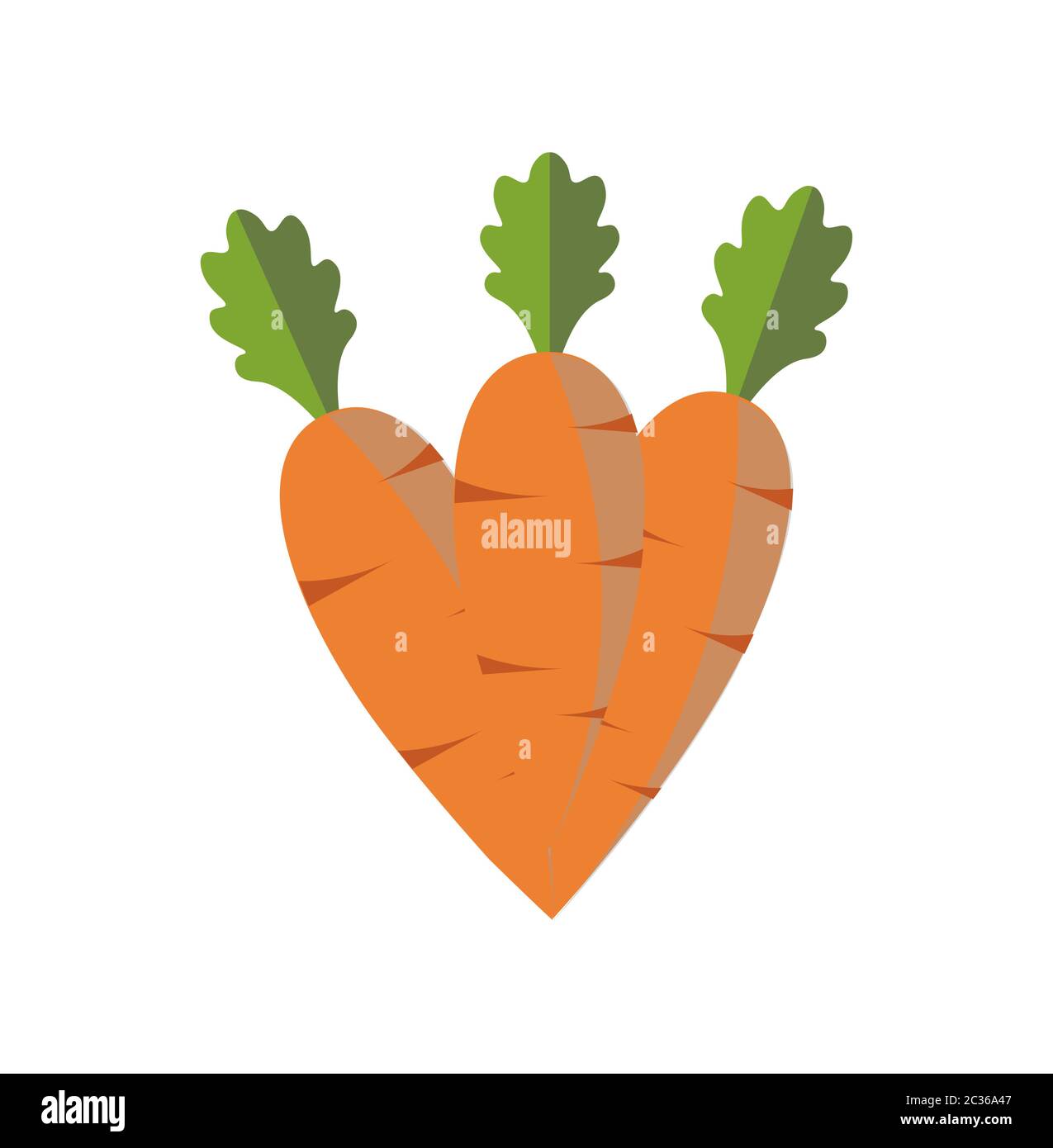 Vector carrots on a white background Stock Vector