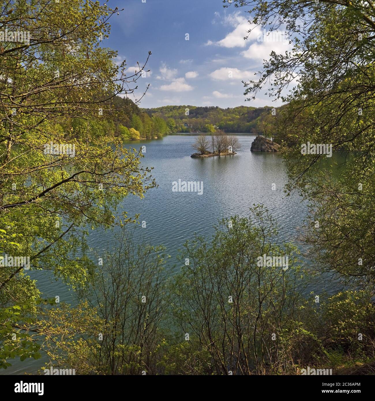Wuppertal dam in spring, Remscheid, Bergisches Land, North  Rhine-Westphalia, Germany, Europe Stock Photo - Alamy
