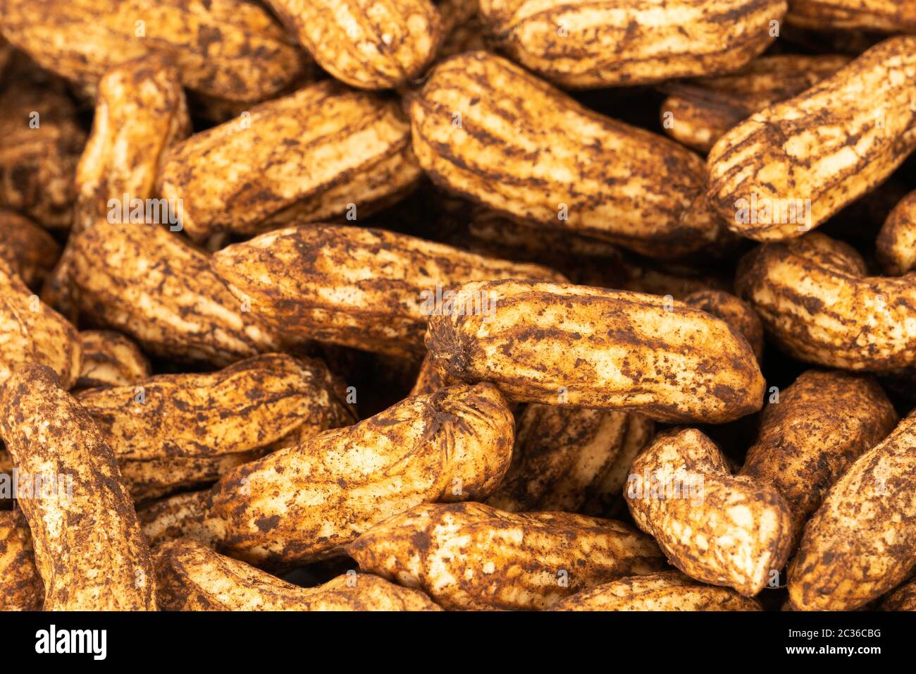 Freshly picked peanuts, close up of tropical fruit Stock Photo - Alamy