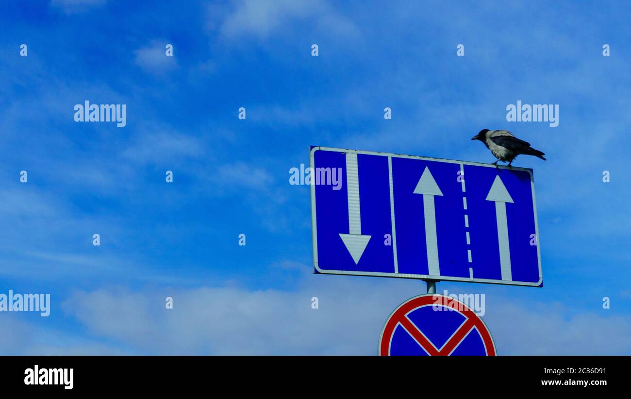 One Sign With Blue Sky Background High Resolution Stock Photography and ...