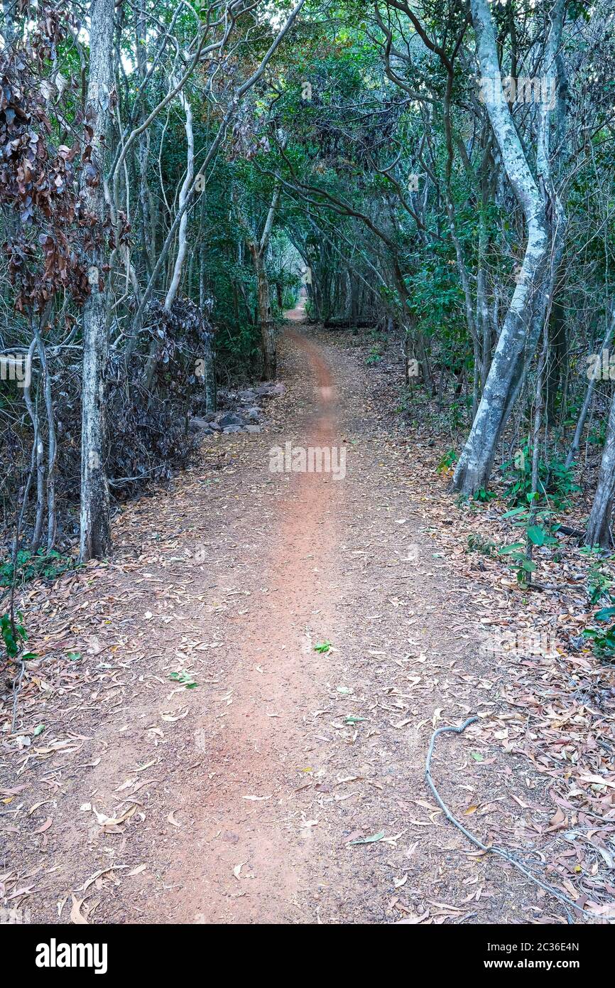 Walking track along Casuarina Beach, in Darwin, Northern Territory Australia Stock Photo
