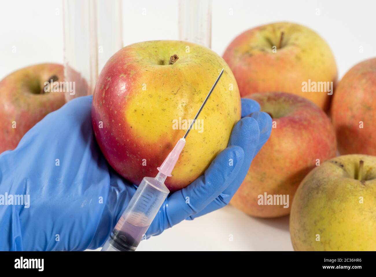 woman with gloves uses a syringe. a Genetic modification of fruits and vegetables. Stock Photo
