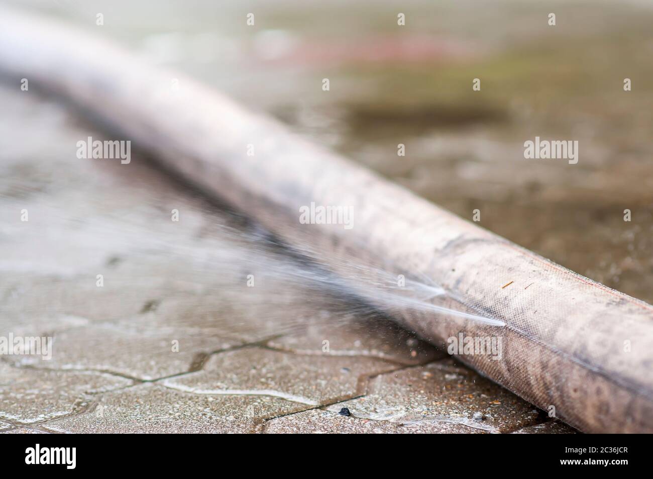 Leaky fire hose to extinguish fire, water is spilled, a ruptured hose. Stock Photo