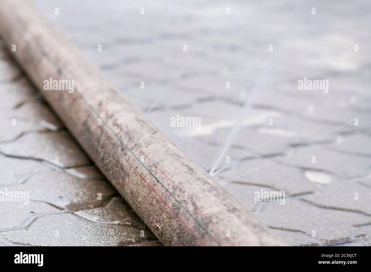 Leaky fire hose to extinguish fire, water is spilled, a ruptured hose. Stock Photo