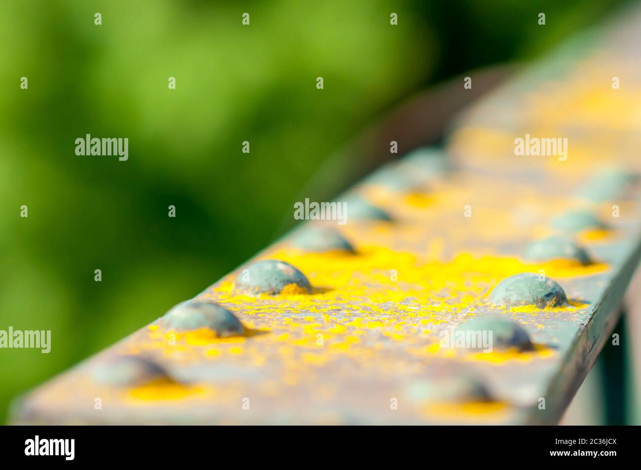 Candelariella vitellina lichen on the steel structure of the bridge with rivets Stock Photo