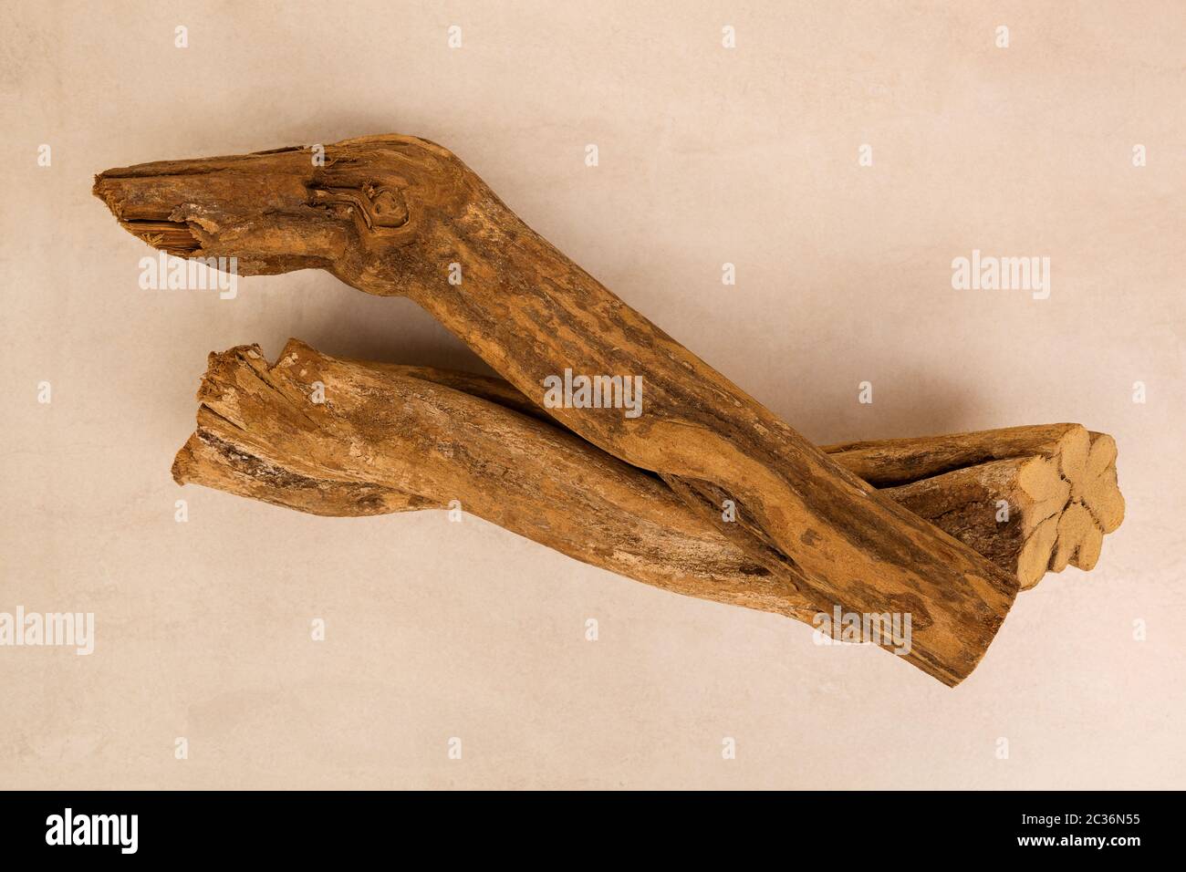 Banisteriopsis caapi wood, traditional visionary medicine Ayahuasca. Stock Photo