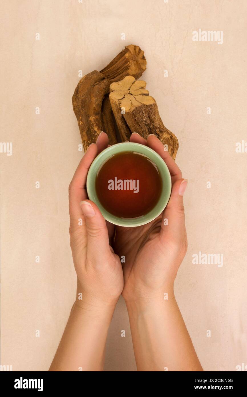 Drinking ayahuasca. Female hand holding a bowl with psychedelic drink ...