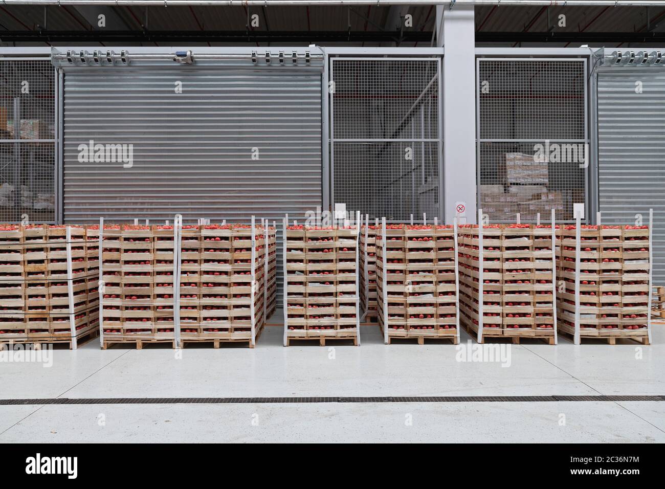 Crates of Tomatoes at Pallets in Warehouse Stock Photo