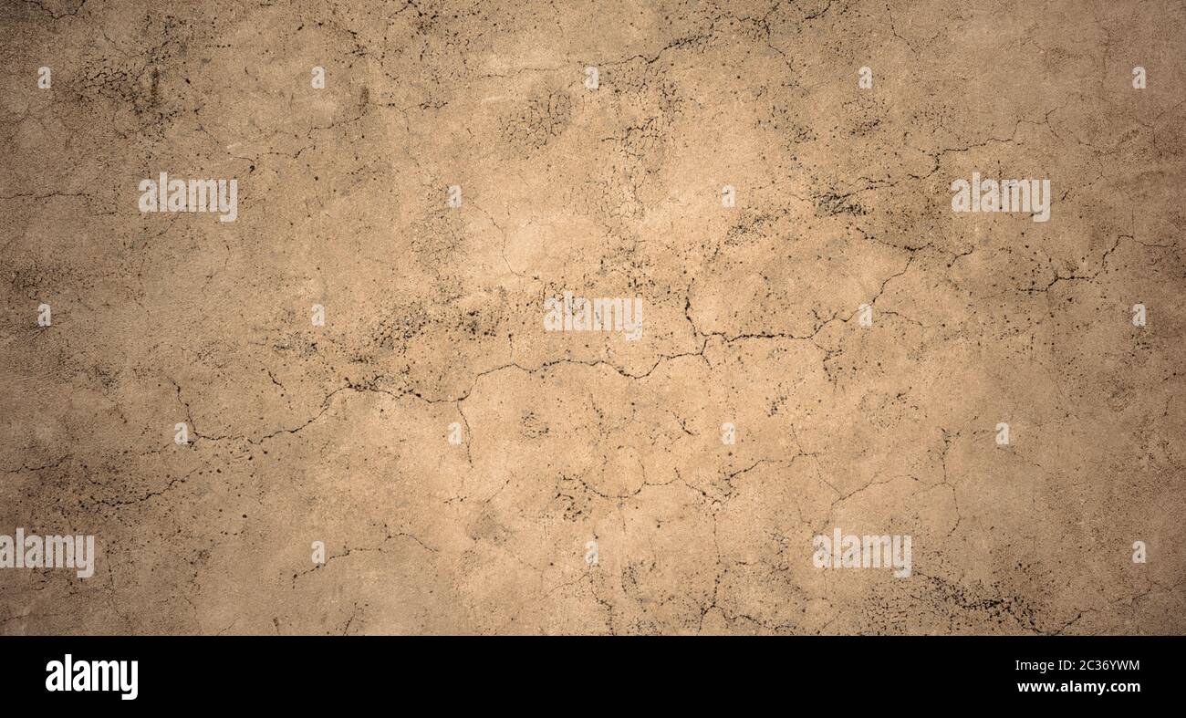 Grunge wall texture. High resolution vintage background. Stock Photo