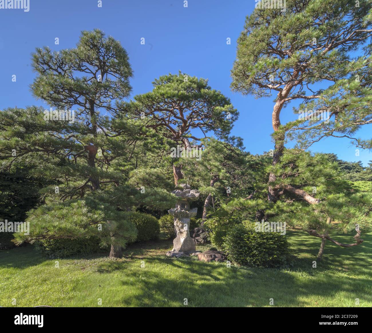 Green lawn and rounded stone lantern under pines trees and blue sky in Shinjuku Gyoen Garden in Toky Stock Photo