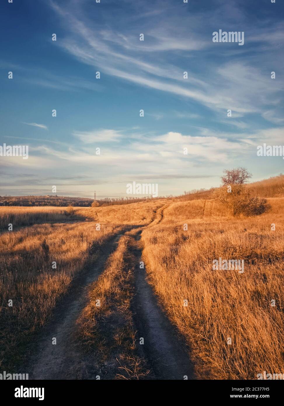 Vertical shot dirt footpath hi-res stock photography and images - Alamy