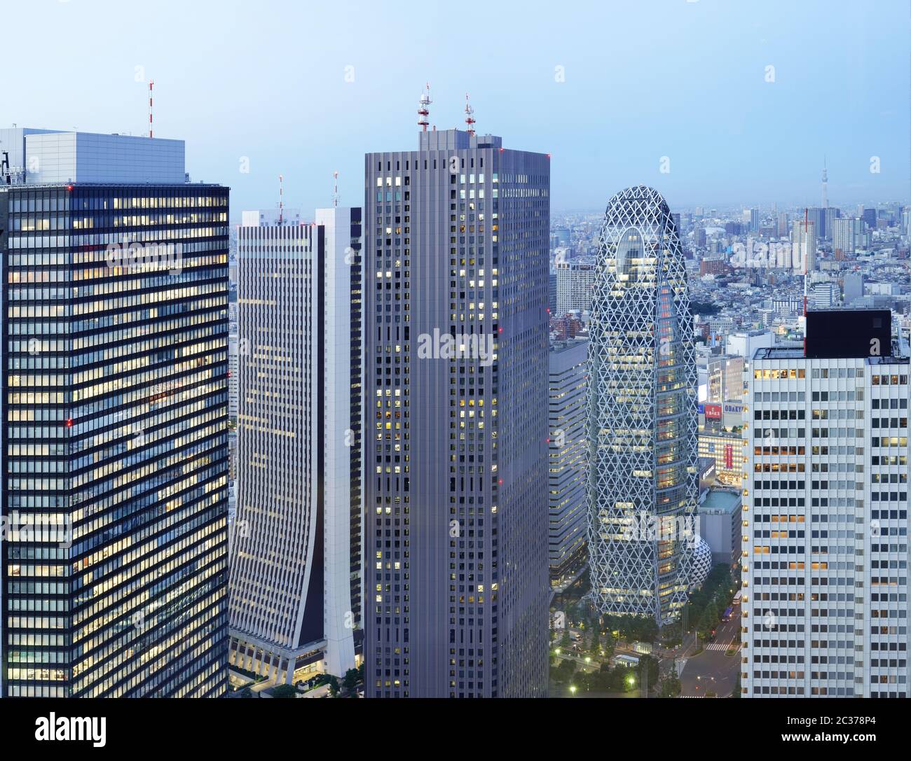 Panoramic view from the Tokyo Metropolitan Government Building on a full moon night. Stock Photo