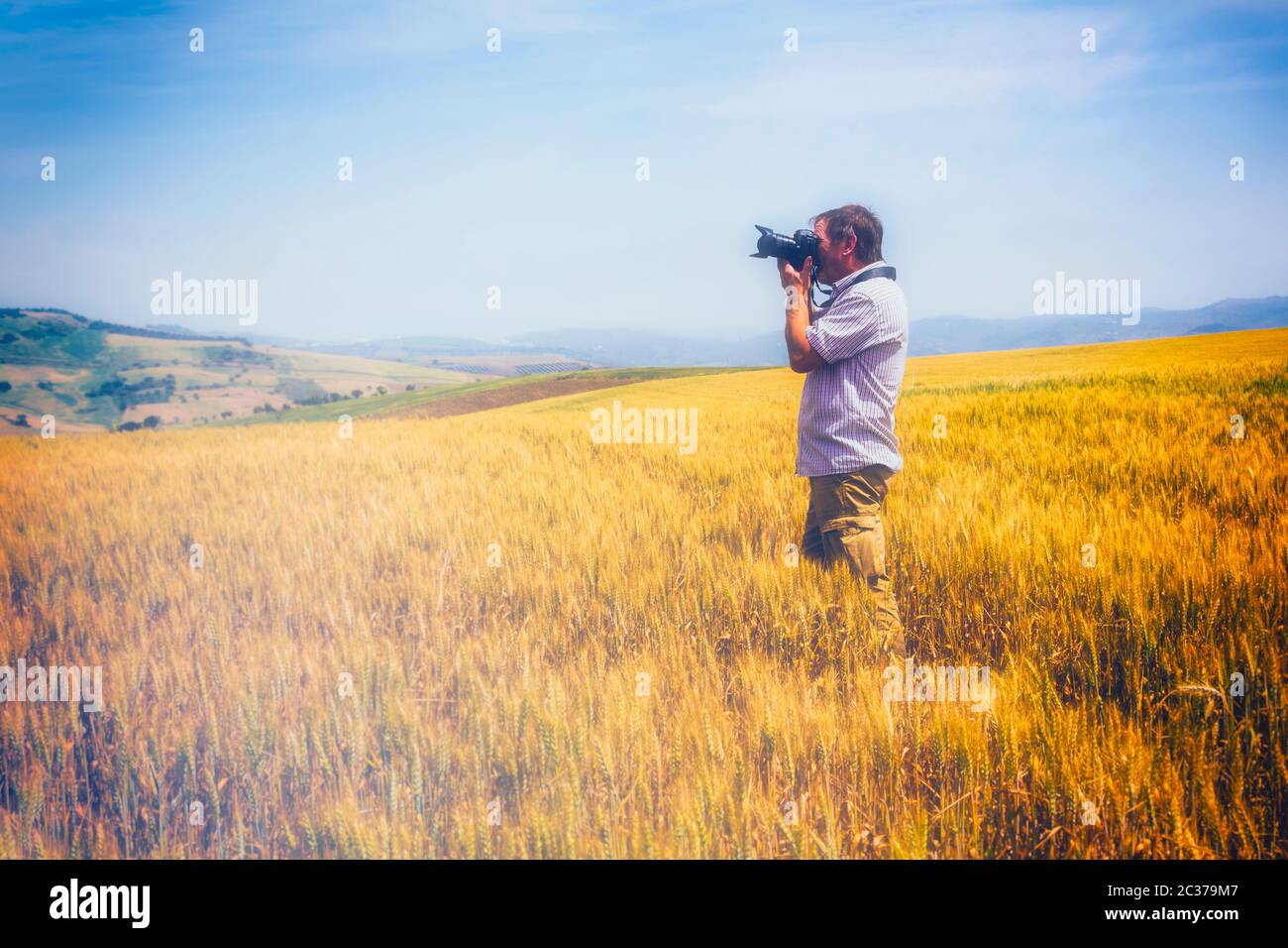 Man photographing in wheatfield.  Andalusia, southern Spain. Stock Photo