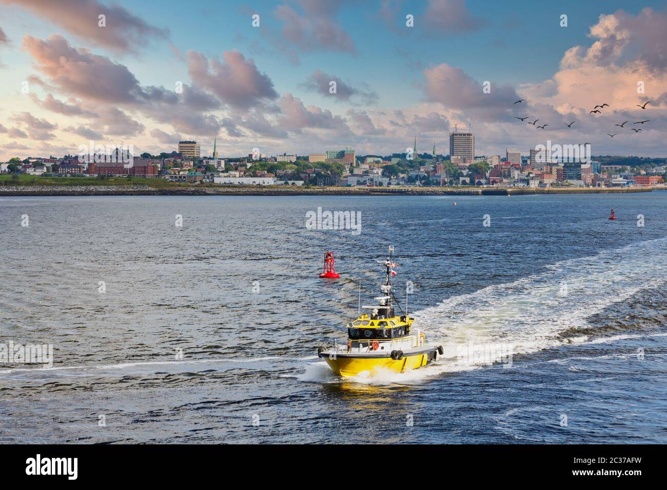 A bright yellow pilot boat speeding across a calm blue harbor Stock ...