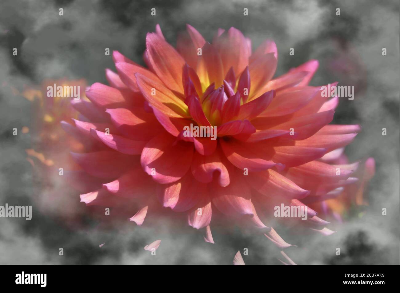 hires stock photography and images Alamy