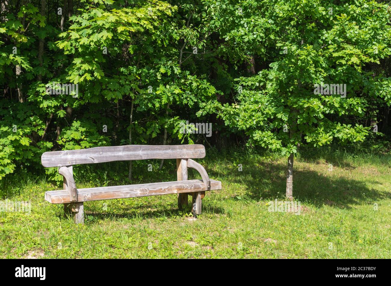 Old wooden bench in a city park Stock Photo - Alamy