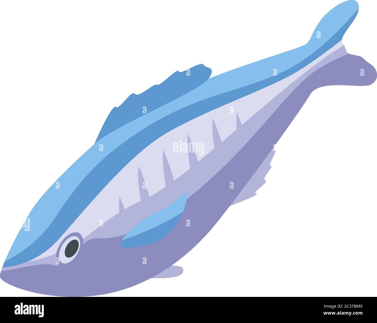 Sea pirate fish icon, isometric style Stock Vector