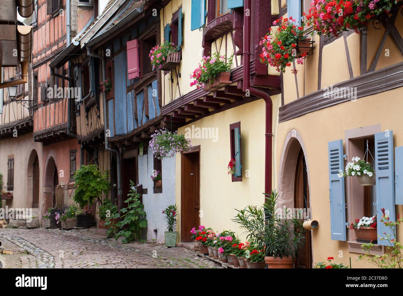 Street with half-timbered medieval houses in Eguisheim village along the famous wine route in Alsace, France Stock Photo