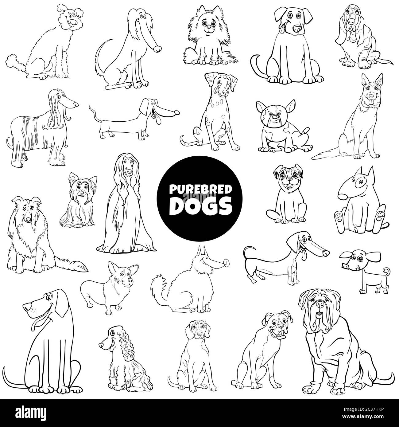 cartoon purebred dogs large set color book page Stock Photo