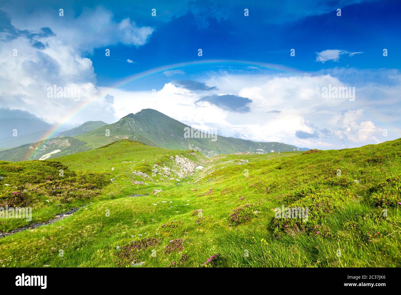 Alpine Landscape In Rodnei Hi res Stock Photography And Images Alamy