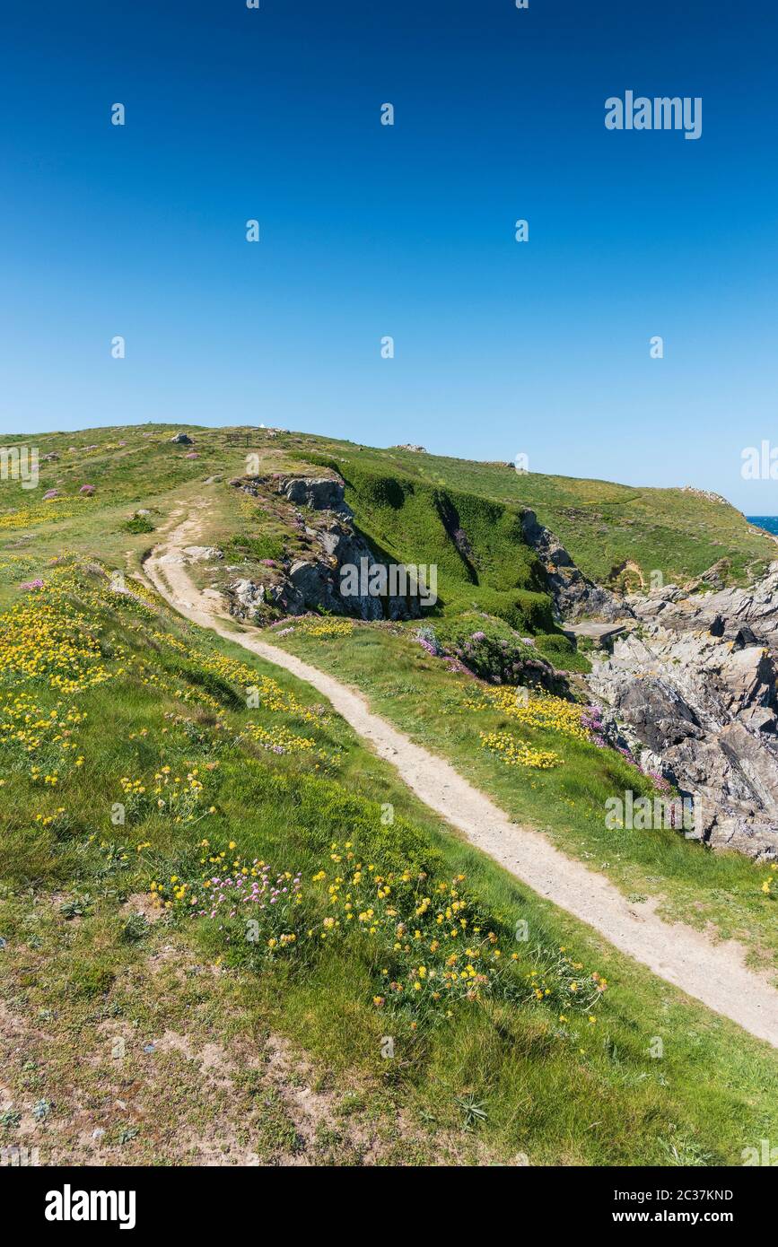 The coastal path leading up to the top of Towan Head in Newquay in Cornwall. Stock Photo