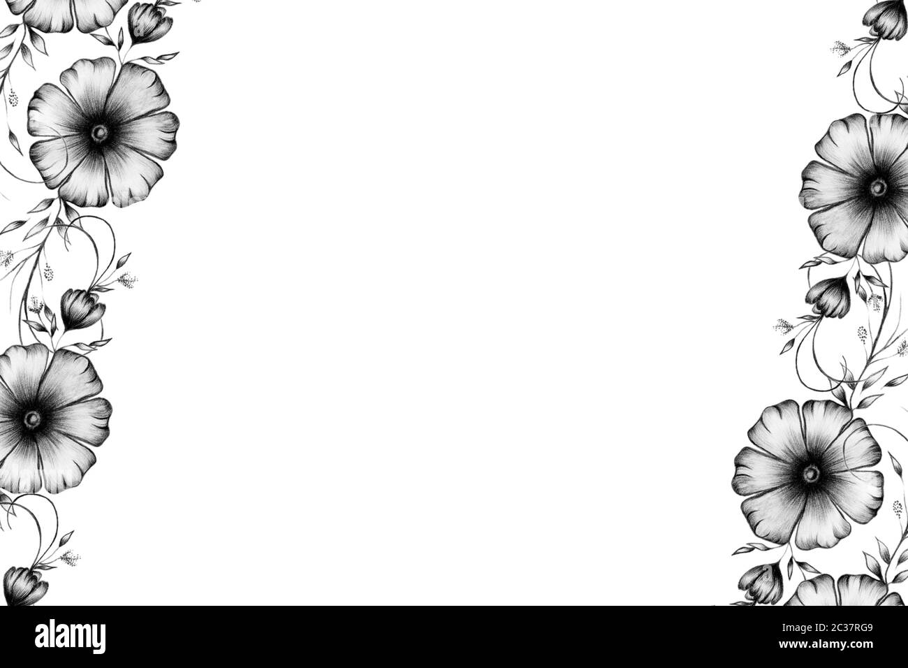 Floral Sketch Black And White High Resolution Stock Photography And Images Alamy