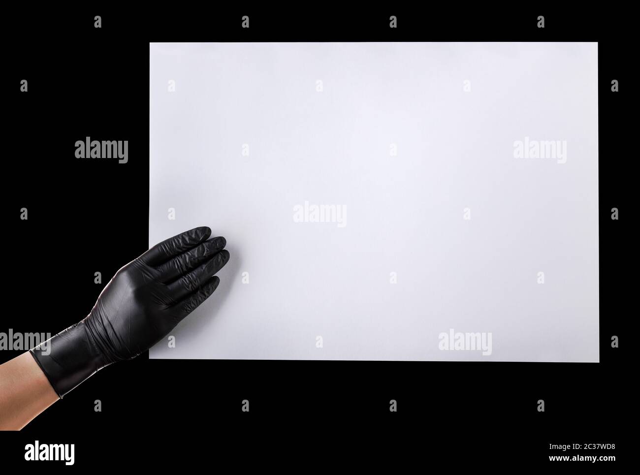 Hand in black gloves holding blank cardboard isolated on black Stock