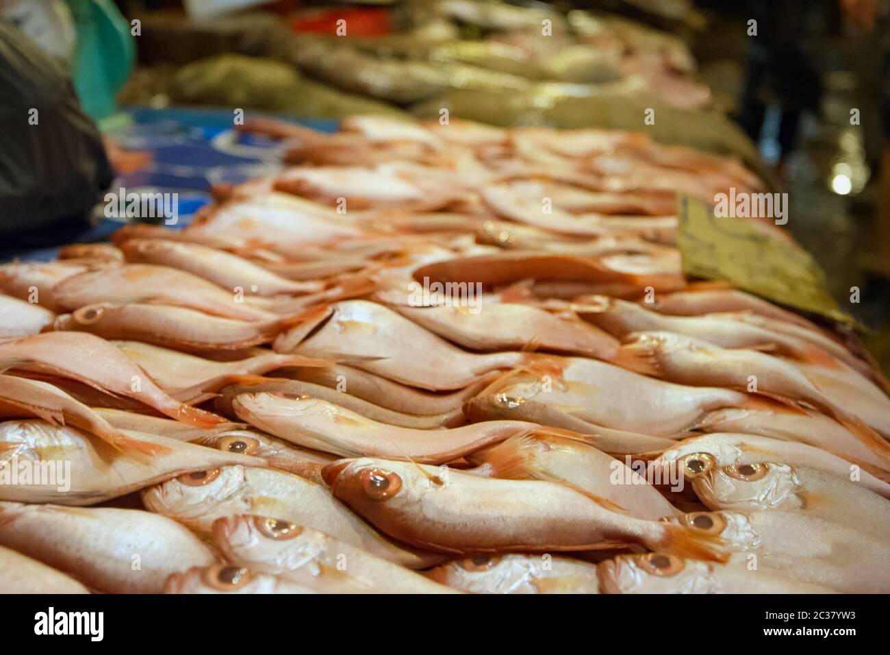 Wet fish counter supermarket hi-res stock photography and images - Alamy