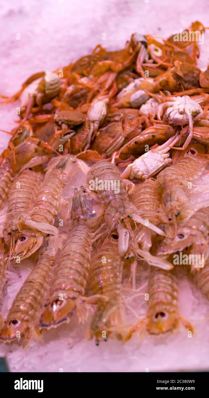 Pink fresh frozen shrimps with ice in a supermarket or fish shop. Uncooked seafood close up background. Fresh frozen prawns, delicacies, sea food conc Stock Photo