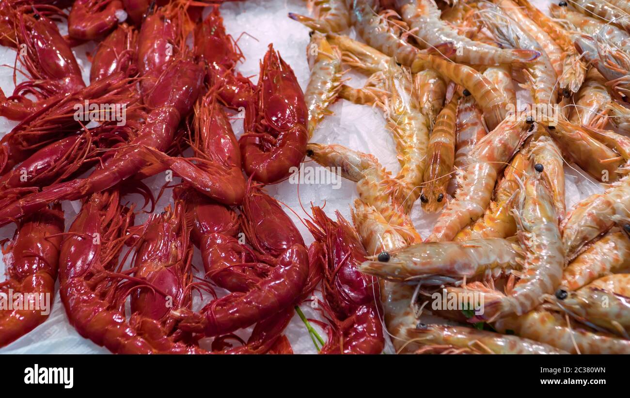 Pink fresh frozen shrimps with ice in a supermarket or fish shop