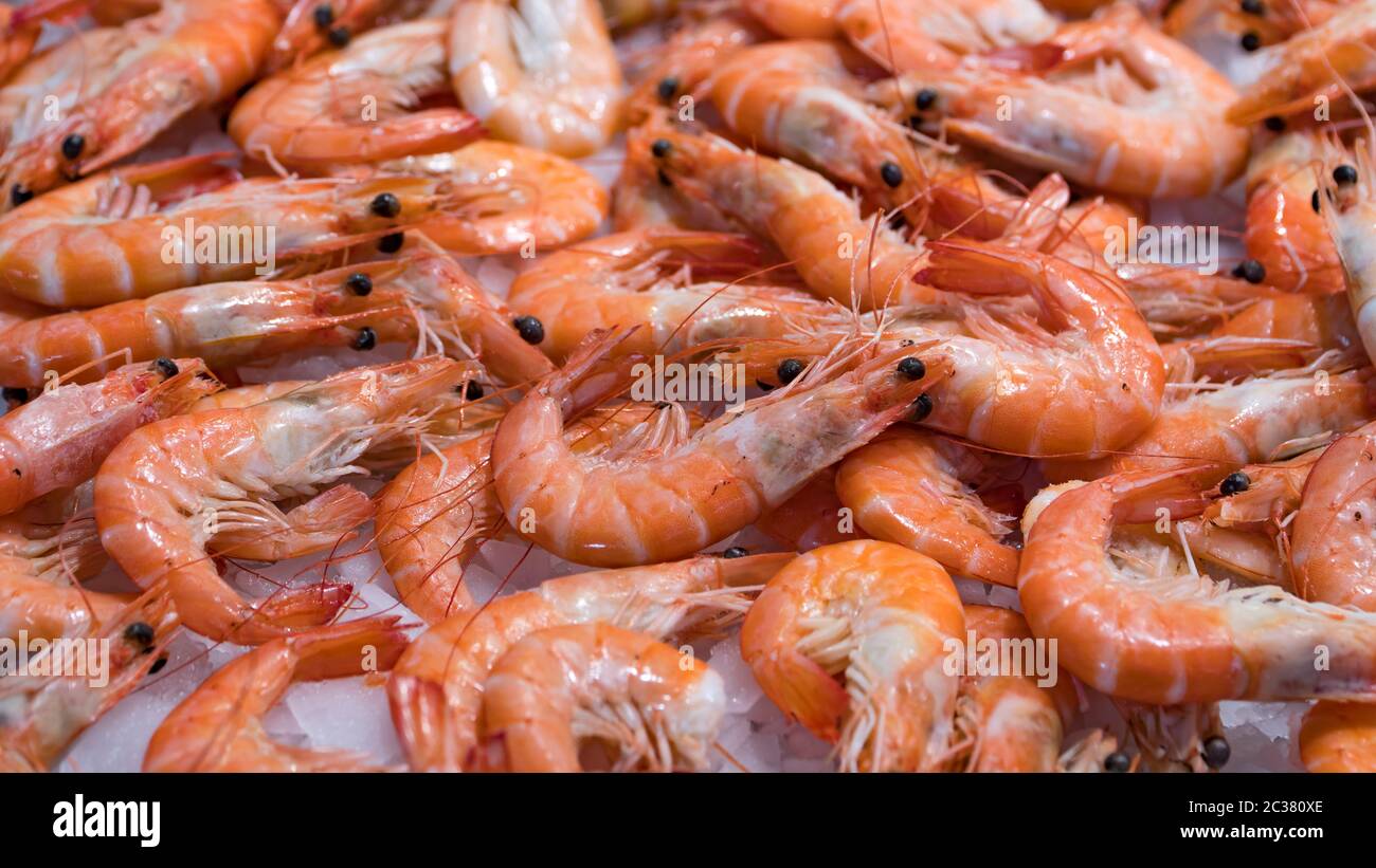 Pink fresh frozen shrimps with ice in a supermarket or fish shop