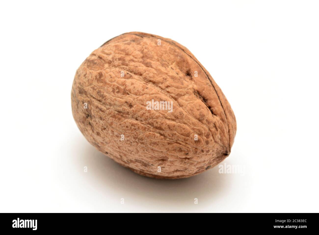 One whole walnut on white background. Stock Photo