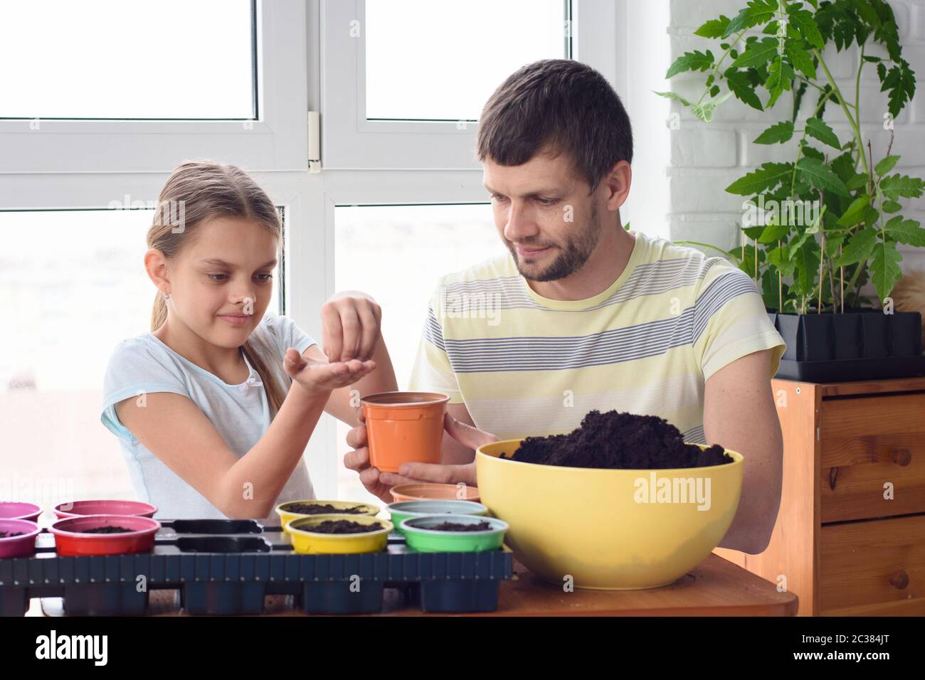 Daughter seeds hi-res stock photography and images - Alamy
