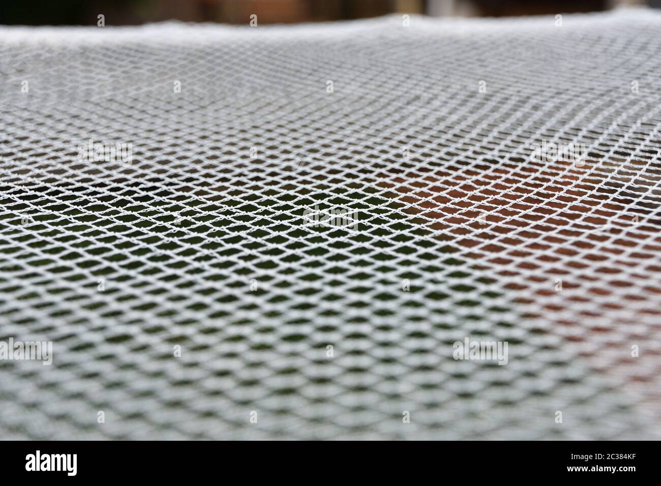 White garden netting texture Stock Photo Alamy