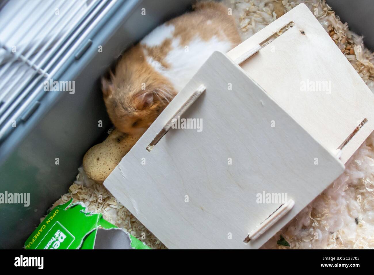 Image showcasing Syrian hamster in hamster cage Stock Photo - Alamy