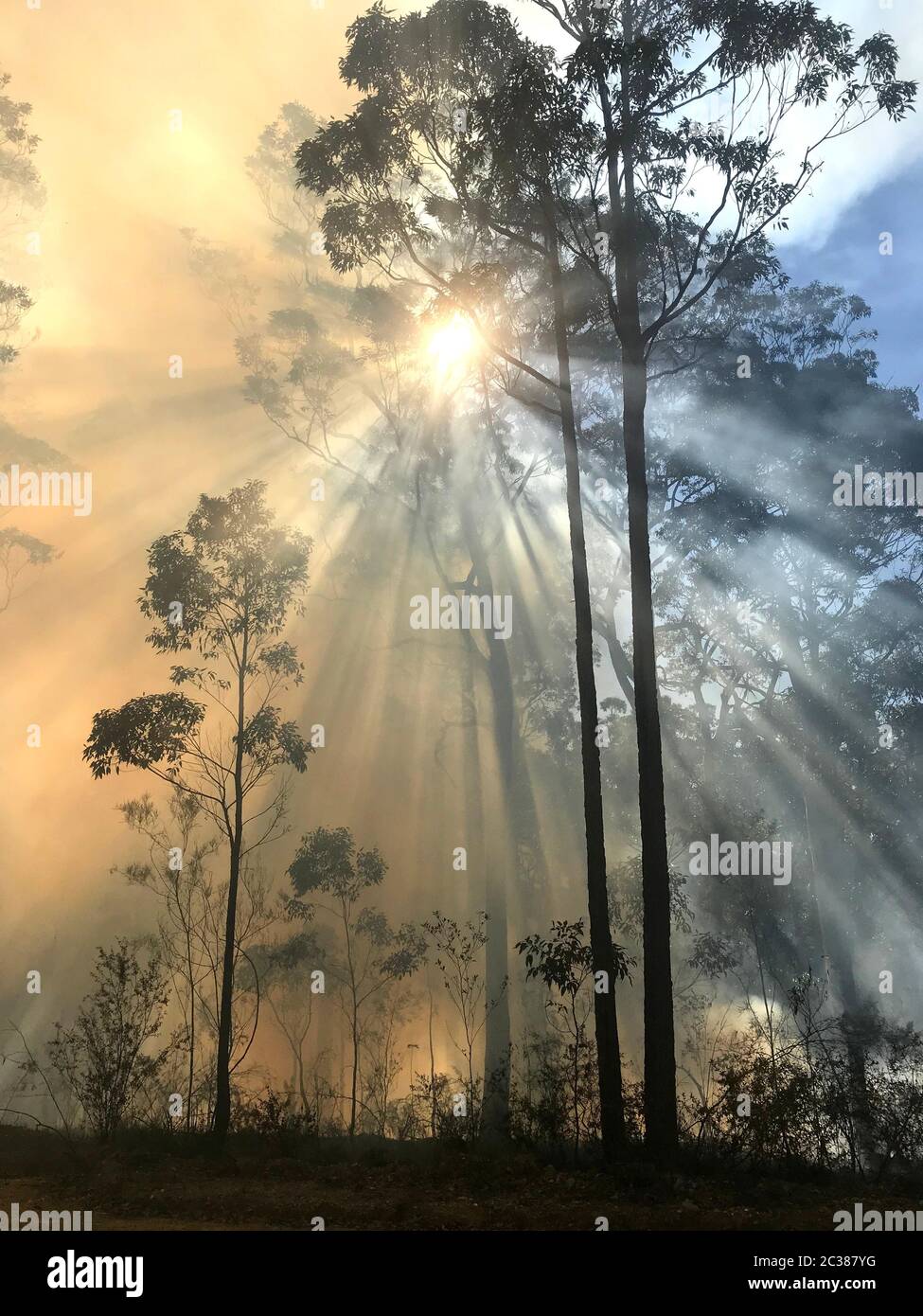 Smoke with sunlight from a bushfire in Australia Stock Photo - Alamy