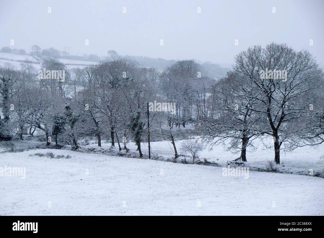Snow scene in agricultural area, Ceredigioin, West Wales, UK Stock Photo