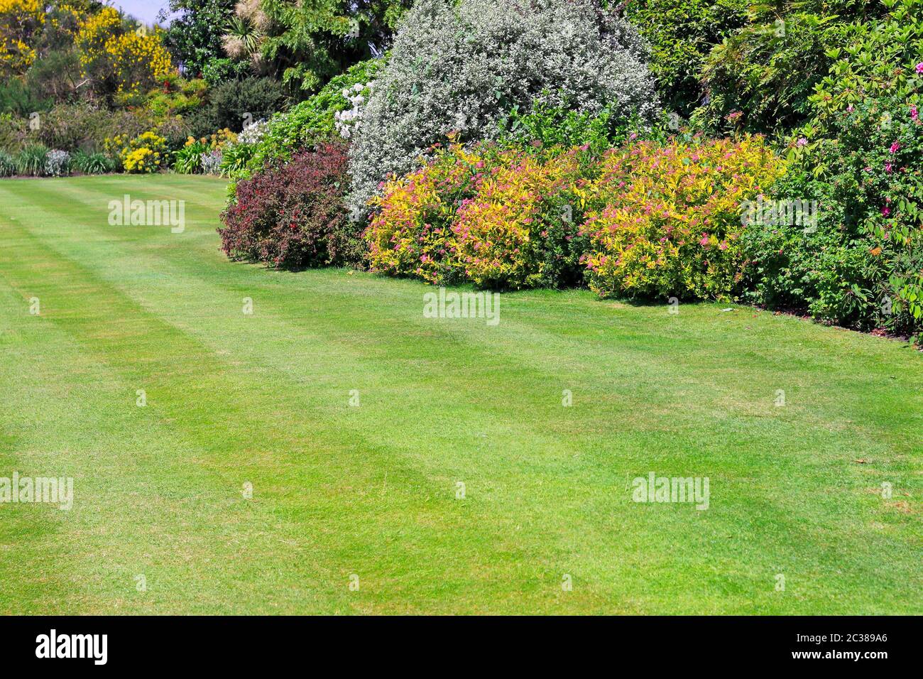 Green lawn and cultivated plants in park Stock Photo - Alamy